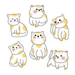 猫