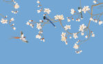 玉兰花鸟