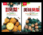 凤梨