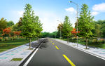 道路景观 道路绿化