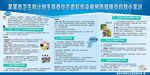 震后传染病预防措施及自救板报