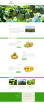 绿色中文网页模板