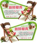 天然果汁饮料新鲜椰青