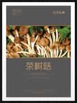 茶树菇