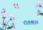 月饼包装