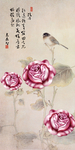 玫瑰花