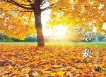 深秋 秋意浓浓 秋色宜人