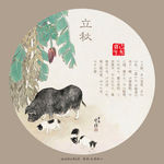 猪年农历节气海报