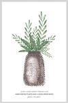 清新植物花瓶装饰画