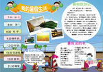 word暑假小报手抄报电子小报