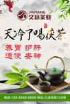 茯茶茶业广告九扬茶业茶壶茶叶
