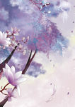 玉兰花开
