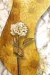 现代简约植物花卉装饰画