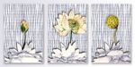 现代淡雅荷花花卉装饰画