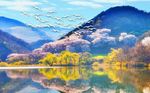 油画风景飞鸟山水背景墙
