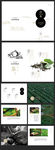 极简中国风茶叶画册