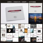 小憨豆 品牌策划