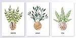 手绘植物花卉树叶抽象装饰画