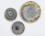 北欧金箔年轮风格装饰画
