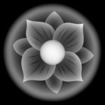 洋花