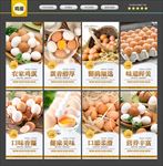 鸡蛋