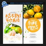 橘子