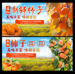 新鲜柿子