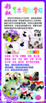 舞蹈展架