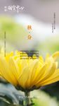 秋分 秋分海报 秋分微信