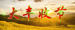 农民丰收节
