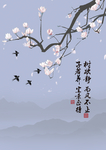 木棉花