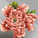 牡丹花