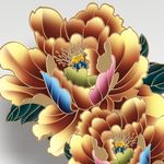 牡丹花