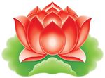荷叶红莲