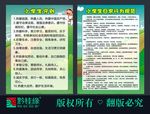 小学生守则