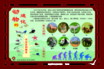 国学文化  动物的进化展板