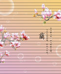 兰花