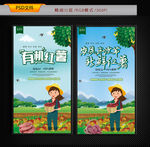红薯