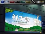 鲜牛奶