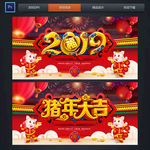2019 猪年
