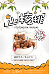 中国风山核桃海报