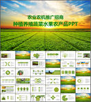 农业生产农业招商PPT