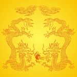 龙