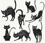 插画猫