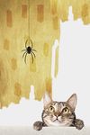 现代简约猫咪蜘蛛动物装饰画