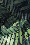 简约绿色植物装饰画