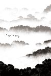 迷雾意境小鸟山水装饰画