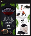 黑芝麻