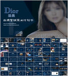 迪奥Dior品牌营销商业计划书