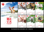 猪年挂历